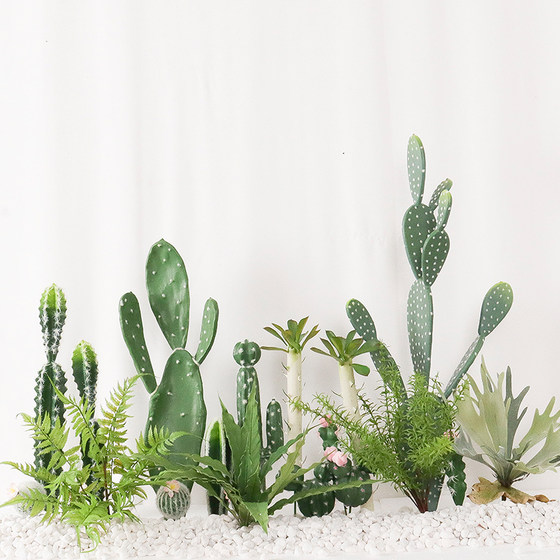 Simulation succulent cactus cactus tropical green plant window decoration landscaping ornaments Nordic ins fake flowers Simulation succulent cactus cactus tropical green plant window decoration landscaping ornaments Nordic ins fake flowers