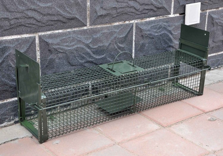 双开门捕鼠笼子双门式捕松鼠捕黄鼠狼捕麻雀自动笼子捕鼠器灭鼠笼