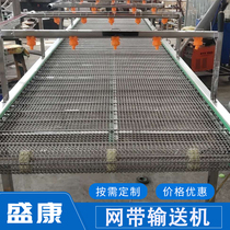 304 stainless steel mesh belt spray conveyor Plum dried vegetables snow vegetables cleaning and conveying line equipment Plate chain belt