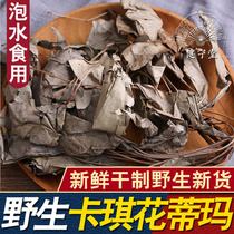 Malaysian wild kaqi fatima 500g premium khaki flower 500g female conditioning nourishing tea