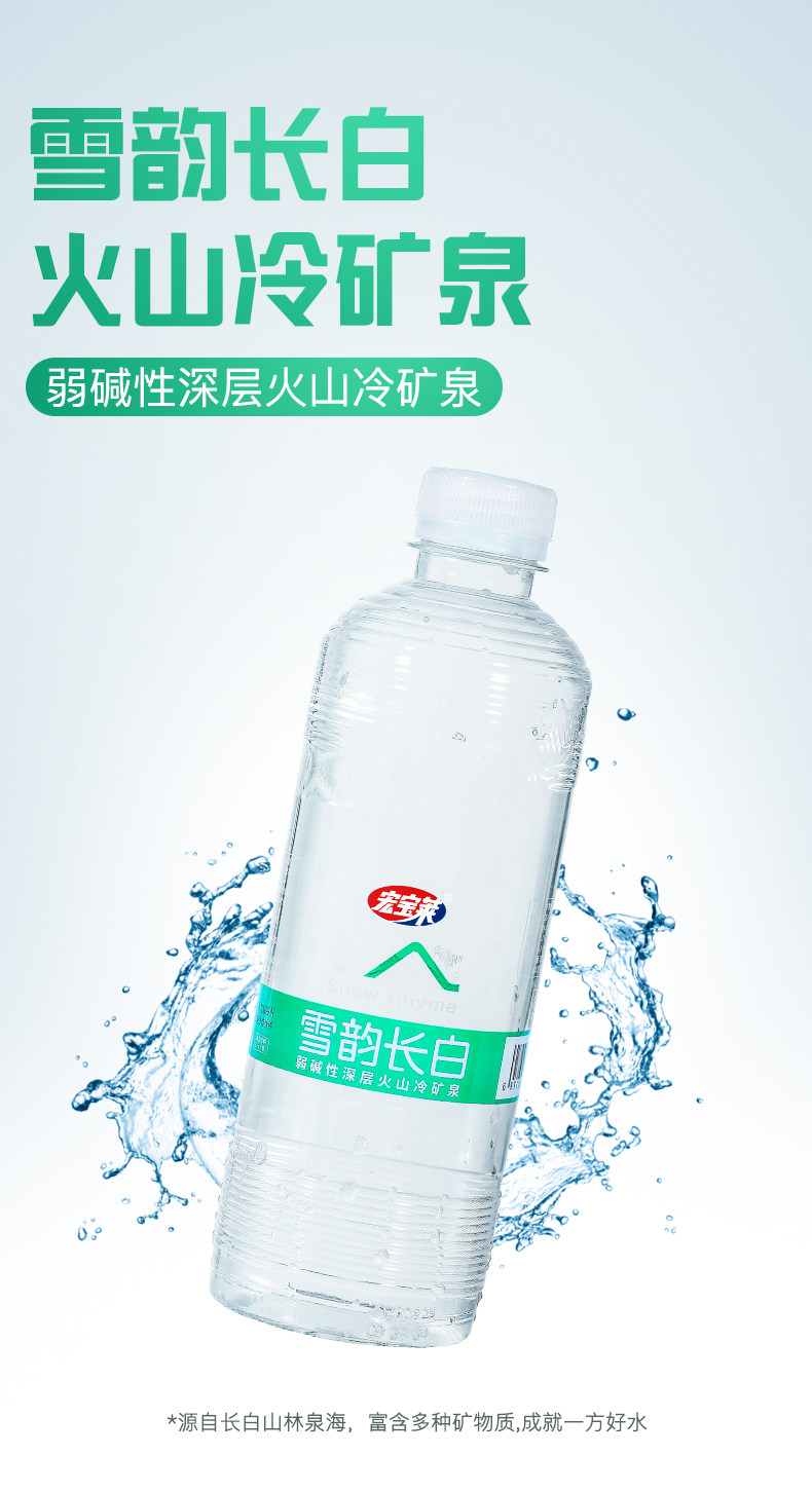 宏宝莱 雪韵长白冷矿泉水 550mlx12瓶