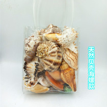 Shell conch gift bag 30 natural shell conch 3-8cm per bag