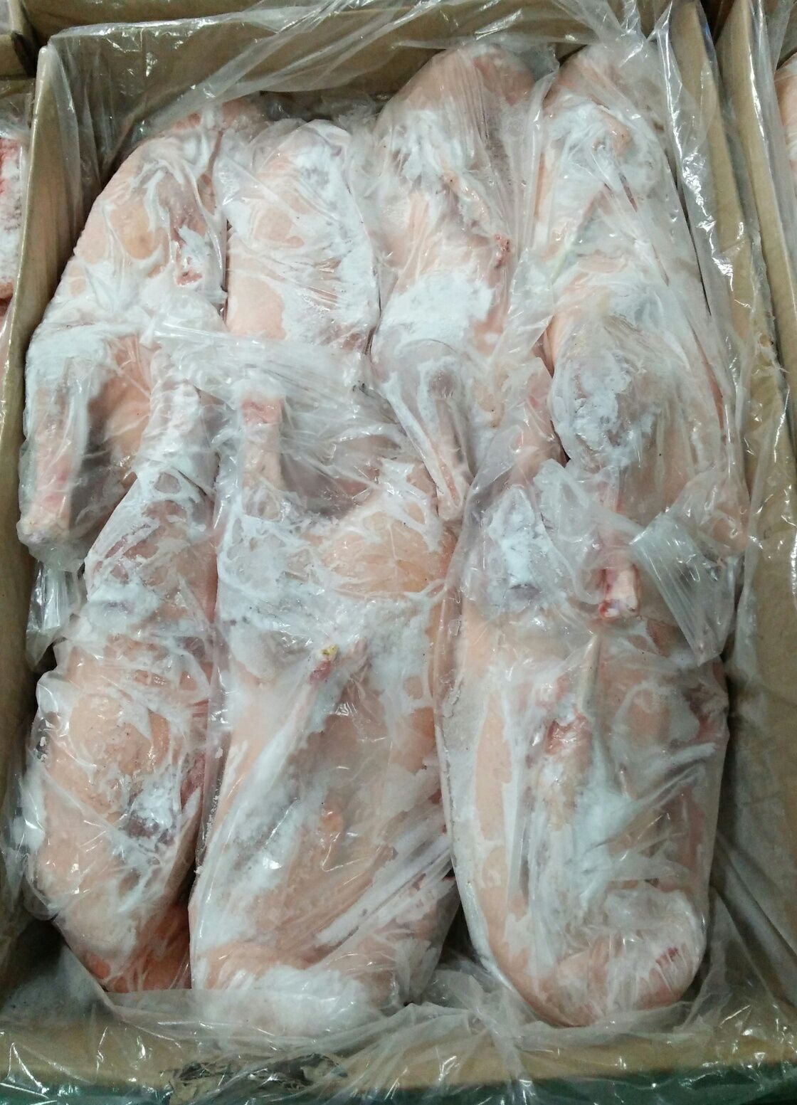 皖蒲鹅