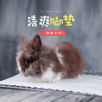 Rabbit mats pet guinea pig mats rabbit cage mats squirrel mats Chinchilla mats multi-province
