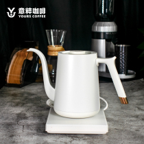 Tymo smart temperature control hand brewing coffee pot thin mouth stainless steel electric heating fast kettle household 0 6L