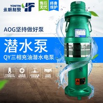 Yongfan QY Oil Immersion Submersible Pump Big Flow Pumping Water Pump Agricultural Irrigation 2-6 Inch 380V Multilevel High Lift Water Pump