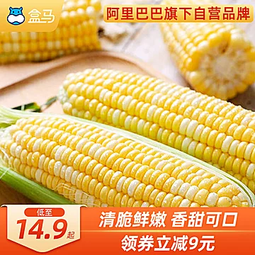 【盒马】云南新鲜水果玉米4斤（约8个）[11元优惠券]-寻折猪