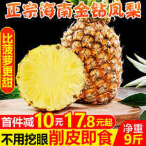 Hainan gold diamond pineapple 9kg fresh fruit should be seasonal perfume big pineapple hand tear blind pineapple whole box 5