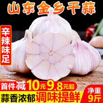 Shandong Jinxiang Purple Leather Dried Garlic 9 Catty Fresh Farmyard Vegetables Multi-Petal Garlic Head Now Dig A Solo Garlic Wholesale