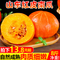 Shandong red pumpkin 8 pounds Halloween pumpkin golden Japanese melon fresh vegetables old jack-o-lantern wholesale