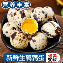 Fresh raw quail eggs 50 Loaded Farmhouse Loose 5 cereals Cereal Small Moron Baby Coveting Fresh Egg Wholesale