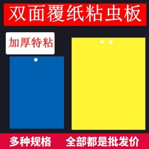 Double-sided yellow board armyworm board paper paste yellow dip fruit fly sticky board insect lure blue board Orchard thrips greenhouse to kill small flying insects