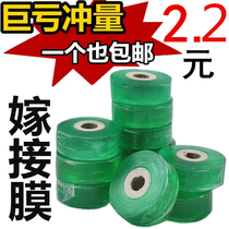Grafting film Special film strap Fruit tree seedling bandage film tape Without knotting Self-adhesive stretch film PE transparent