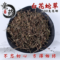 Chinese herbal medicine Wild white flower snake tongue grass Baihua snake tongue grass White flower snake tongue grass tongue grass snake grass 500g