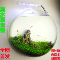 Acrylic micro-view fish tank home decoration wall hanging vase simple three-dimensional wall decoration ecological grass tank wall decoration flower device