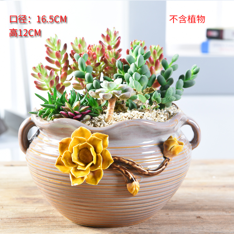 Hao chun hand, flowerpot ceramic flower, fleshy meat meat individuality creative meaty plant flower pot size breathable basin