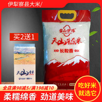 Xinjiang rice 5KG Ili Tsabuchar Tianshan ecological long grain rice 10 catty of rice rice flower fragrant new rice