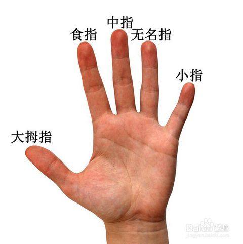 哈哈哈,可能是范儿担心太多,总觉得有些人分不清哪个是食指 哪个是