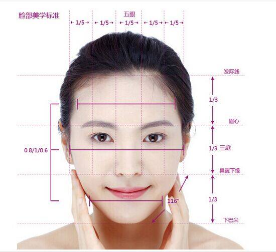 多数人认同的完美比例是三庭五眼.