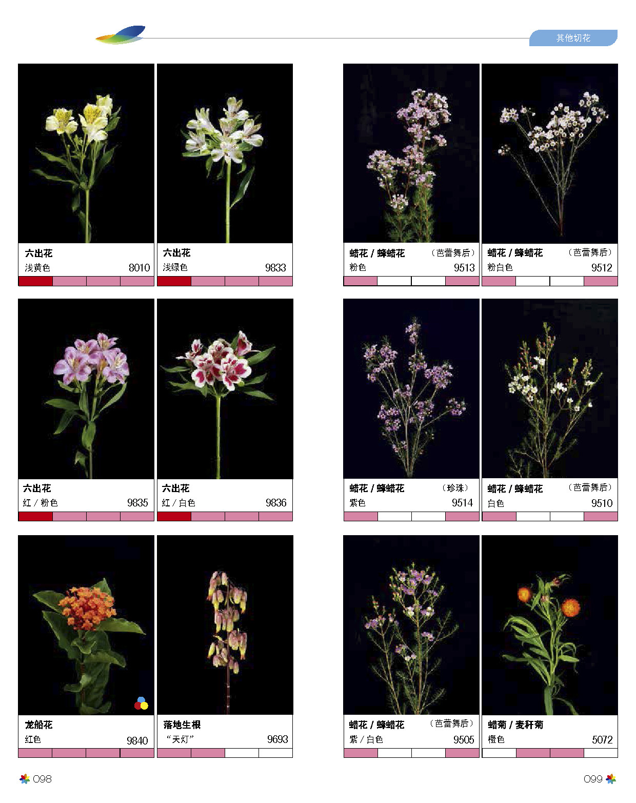 鲜切花品种图册 四季切花图鉴 现代切花生存技术 养花花种选配 昆明