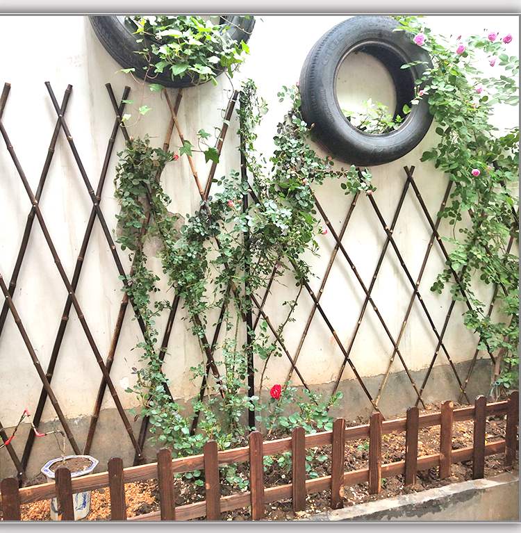 户外花园花架爬藤架室外庭院铁线莲植物支架杆月季玫瑰攀爬竹架子