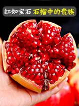 The whole box of Tunisian soft seed pomegranate fresh fruit will marble grenade in the season