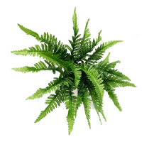 Simulation Fern Leaf Persian Yesen Department Leaf Wedding Road Introduction Wedding Dressing Venue Kindergarten Decoration