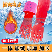Laundry gloves women plus velvet waterproof rubber washing dishes rubber thickening extended labor insurance winter housework wear-resistant work