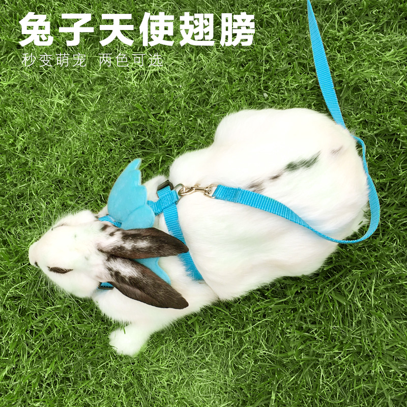 兔子牵引绳子溜兔子牵引带链子遛兔绳牵兔绳可爱垂耳兔兔用品衣服