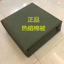 Public hair hot melt quilt army green moisture-proof warm and thick cotton bedding