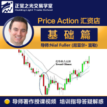 PriceAction PA Naked K Trading method Robin Nial Fuller Teaching video Basic article