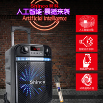 Square dance audio outdoor performance mobile lever speaker high power with wireless microphone K song artifact