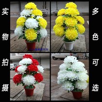 Zhongyuan Festival July and a half-year tomb sweeping fake chrysanthemum sacrifice simulation flower cemetery is placed on the tomb with flower decoration