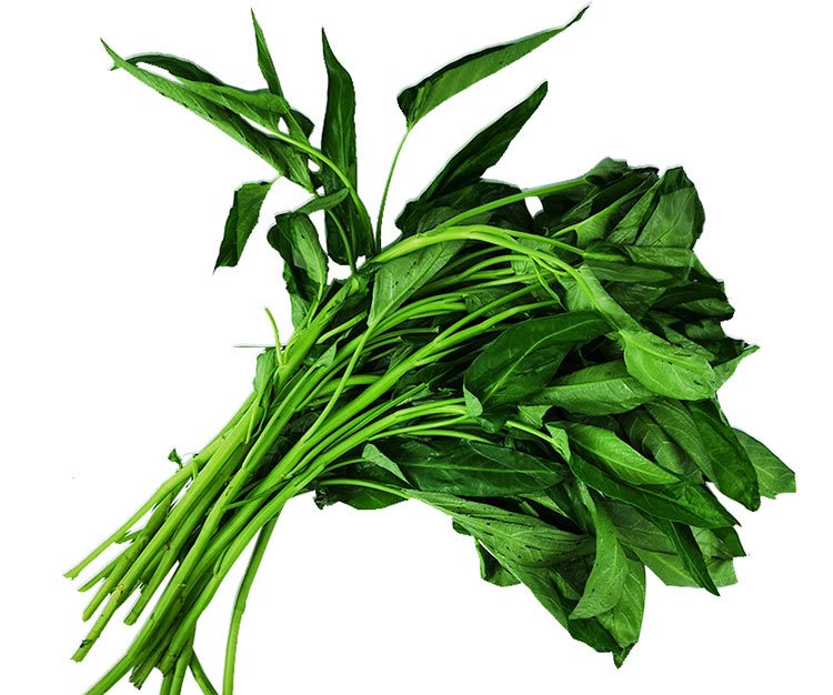 新鲜空心菜500g 通心菜新鲜_空心菜_叶菜类_本地蔬菜_粮油果蔬_ 太行