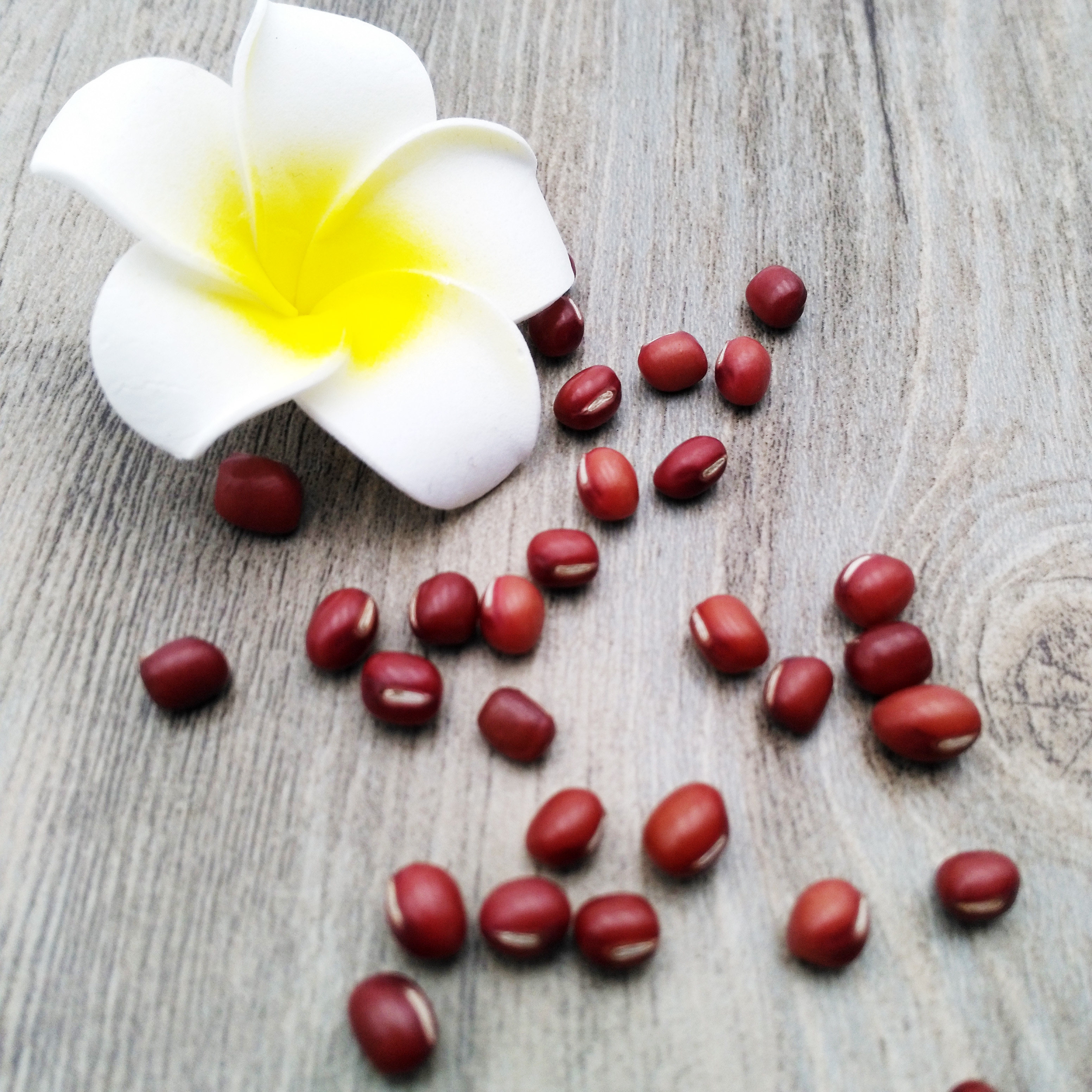 东北红小豆农家自产新货小红豆赤小豆赤豆纯天然祛湿450g满38包邮