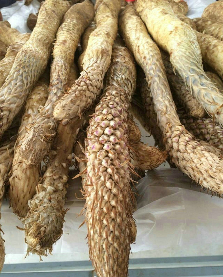 肉苁蓉野生精选特级泡酒料500g泡茶男性滋补药材配锁阳效果会更佳