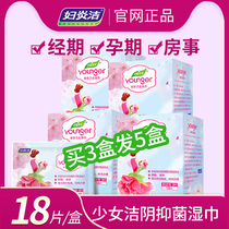 Fuyanjie wet tissue adult one-time convenient cleaning yin health room for men and women general private care wipes