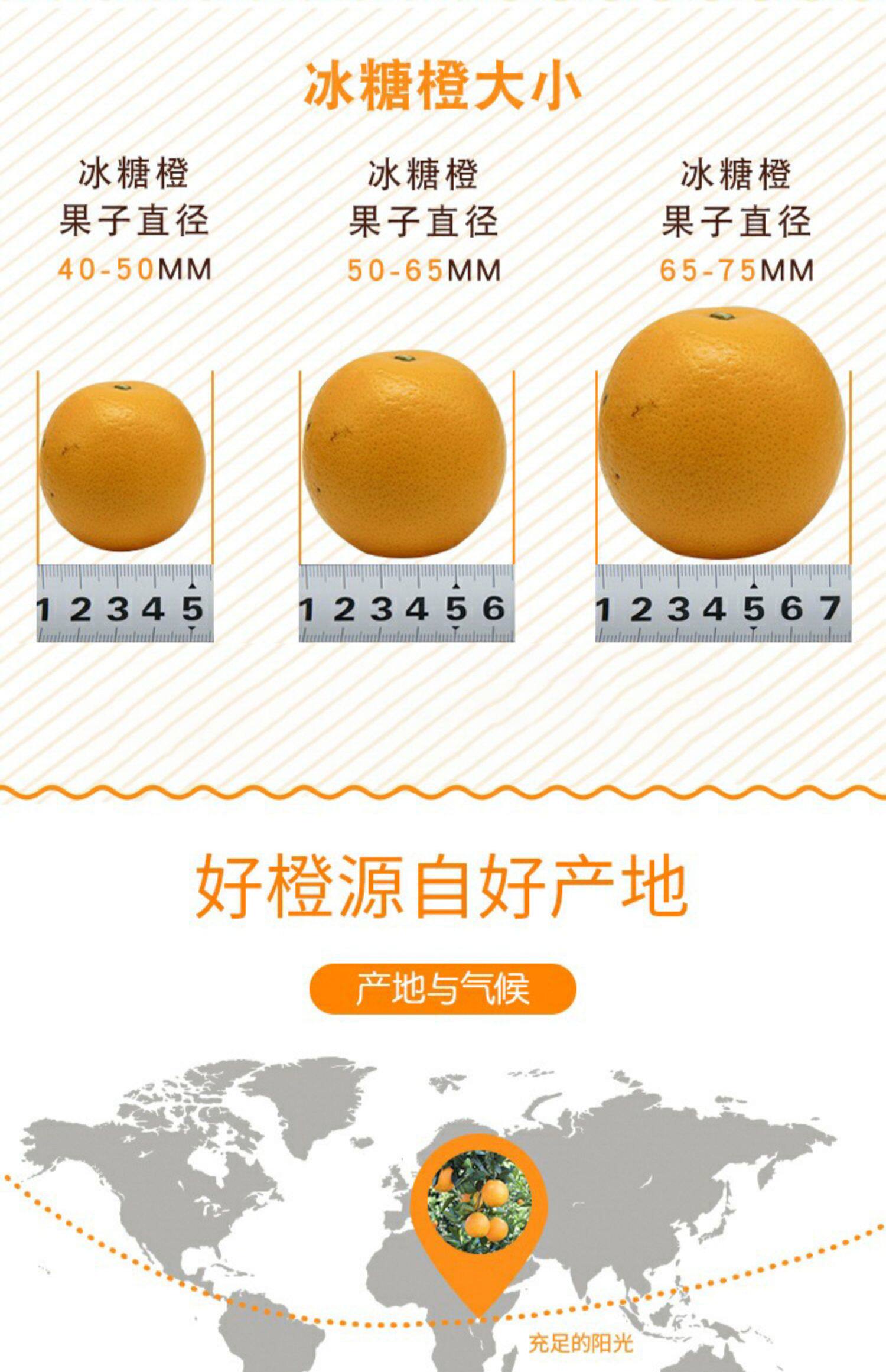 橙子湖南麻阳冰糖橙当季新鲜水果手剥果冻超甜橙子10斤整箱包邮53