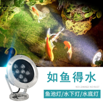 led underwater lamp waterproof colorful 12v landscape spotlight outdoor waterscape fish pond lamp pool rockery 24 volt underwater light