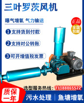 Flour Mill stainless steel oxygenation special three-leaf Roots blower sewage treatment equipment aquaculture environmental protection noise low noise