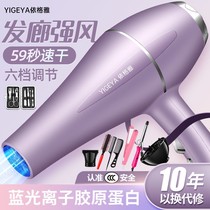 hair salon windy hair dryer Home High power quick dry blue light negative ion electric blow wind cylinder cold hot wind without injury