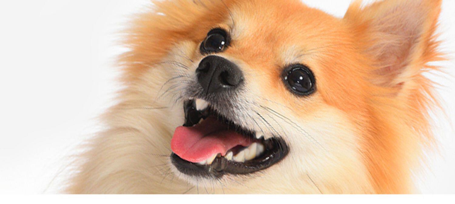 贝蒂狗狗宠物零食鸡鸭胸牛肉干条训练奖励泰迪磨牙金毛大小型幼犬