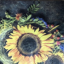 Reunion circle handmade diy Butterfly Valley Bart Napkin 2284 collage print 33*33 cm 1 sheet