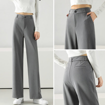 Gray wide-leg pants with high waist sensation thin 2021 spring and autumn high-end sense suit straight barrel loosely dragged leisure pants