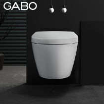 Guanbo hanging toilet toilet wall-mounted toilet Intelligent wall-row toilet Multi-function toilet 10045