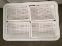 Golden Phoenix Blueberry Box Raspberry Box Size 23 5 * 15 * 5 8 cm Weight 80 gr Plastic Food Basket Fruit Box