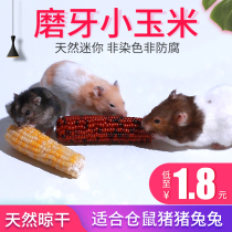 Mini Corn Brater Hamster Mill Corn Cob Guinea Pig Rabbit Mill Corn Cob 1