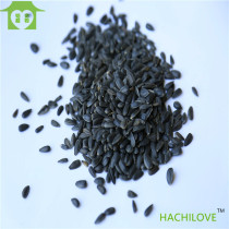 Black Pearl melon seed sunflower seed small black melon seed hamster melon seed snack oil sunflower seed parrot grain raw melon seed