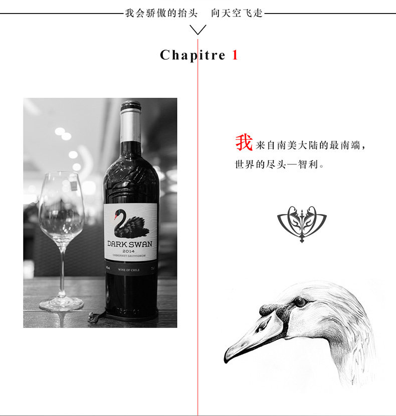 天猫【智利原装】黑天鹅干红葡萄酒6瓶整箱