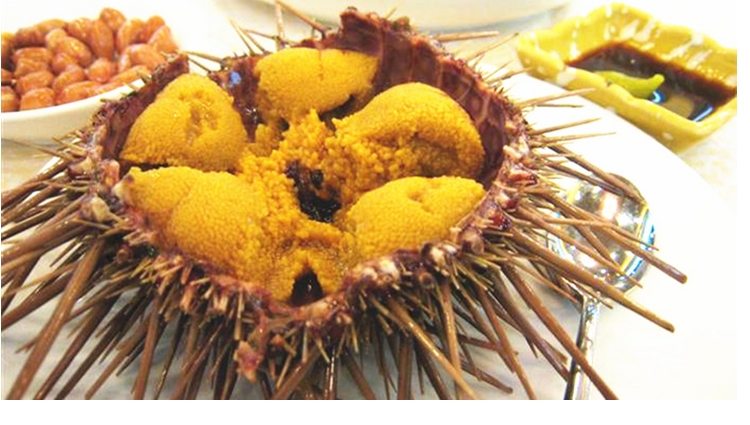 海之沃 海鲜精品质优味美饭店食材 刺身必备鲜活海鲜海胆